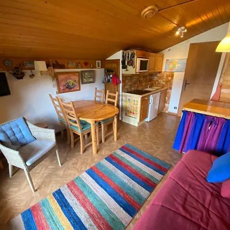 Chatel: Pres Des Pistes, Parking Inclus - Fr-1-693-11 Apartment Chatel